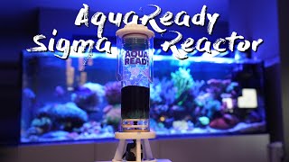 AquaReady sigma 1 - Media Reactor Review