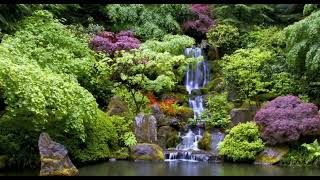 Soft background Music for Relaxing, Studying, Sleeping