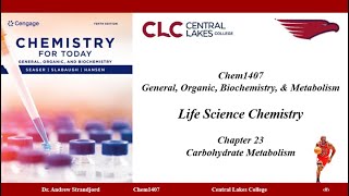 Chem1407 Lecture Notes Chapter 23