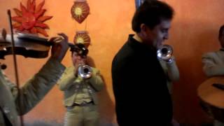 TE SIGO AMANDO WILLIAM LUNA CON MARIACHI EN MEXICO CON LOS ASKIS