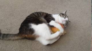 Millie kicks her ball