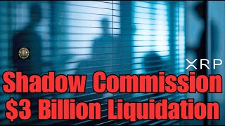 Ripple CEO On Crypto Crash , $3 Billion Liquidation & XRP Accumulation