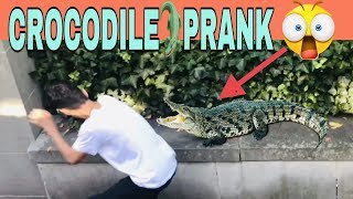 Best prank ! new Crocodile Prank video // HK