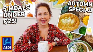 5 Meals For UNDER £25 From Aldi | The BEST Autumn Meals On A Budget | Family Meals From Aldi