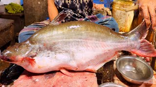 Amazing Giant Pangas Fish Cutting Skills In Bangladesh Local Fish Market | Fish Cutting Sk...
