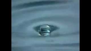 Four Tet -Twenty Three (FAMU)