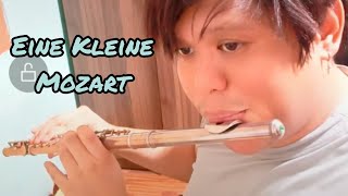 Eine Kleine - Mozart | Flute