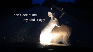 ᯓ★ Gut Wrenching - A Playlist 𖦹