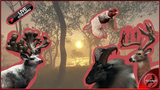 🔴LIVE🔴 Great One Grinding!! EXTREME HERD MANAGEMENT (Twitch & YT) : : theHunter: COTW