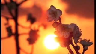 Relaxing Music - "Orange Skyline"