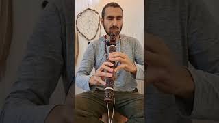 NAF Flauta Nativa Americana Gm |Série Especial| Native American Flute