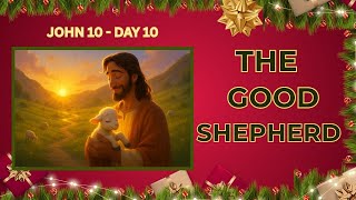 The Good Shepherd  John Chapter 10 Vlogmas Day 10