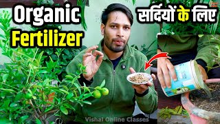 सर्दियों में पौधों की Growth रुक गई है ये Liquid Fertilizer डालते ही Plants Growing करेगा #gardening