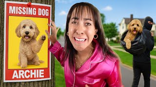 My Dog was TAKEN!