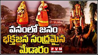 LIVE  : Medaram Sammakka Sarakka Jathara | Mavori Tribe | PVM Trinetram