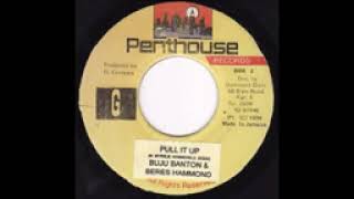 Pull Up Riddim (Beres/Buju)🇯🇲 (I Don't Own The Rights To The Song, Fair Use Only.)