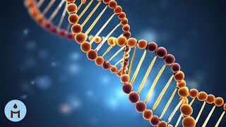 528Hz DNA REPAIR FREQUENCY (with relaxing music to enjoy in the background)