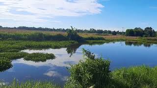 In my self-inflicted demise. I cry when angels fall from the skies