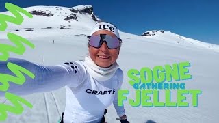 SOGNEFJELLET!!