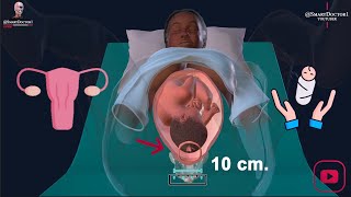 Vaginal Delivery | Labour & Birth 👶🏻🤱🏻