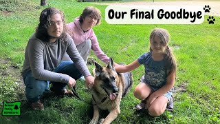 The Heartbreak of Losing a Dog