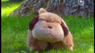 Pillow Pets ENG