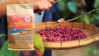 Meet Our Roaster: The Story Behind Kakadoodle’s Fresh Blend Coffee