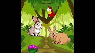 save caged little rabbit video walkthrough