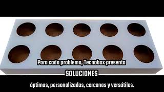 TECNOBOX - Automated glued Yoghurt tray shipper