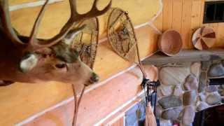 Riverstone Cabin on the banks of Rock Creek in Western Montana