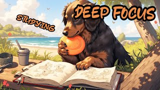 📚 Study & Work 2025 | The Ultimate Focus Music | Deep Focus Music