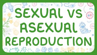 Asexual vs Sexual Reproduction (Middle School Science)