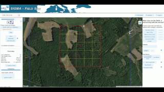 France / Small fields mixed with forest