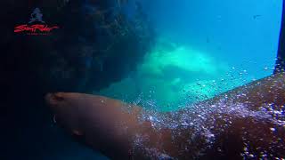 The beautiful Isla Espiritu Santo. surrounded by spectacular crystal-clear waters