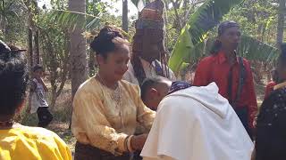Upacara adat Maumere, penerimaan Imam baru RP. Jais Bora. Ocarm