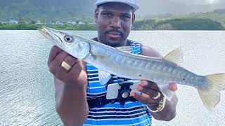 Catching small Barracuda in Hawaii