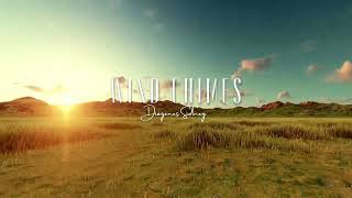 Relaxing Piano Music: Sleep Music, Stress Relief, Meditation Music | Wind Chimes by Diogenes Sidney
