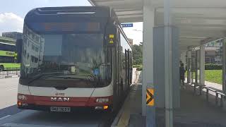 (SMRT) MAN A22 NL323F (SMB1369R) on service 901 at bus stop 46981