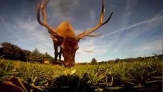 TomBob Outdoors and the Keystone Elk Country Alliance TV Spot