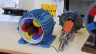 MVI 1792  SRM