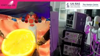 Big Robot for Little Surgery | Hamlyn Centre | Robot Lab Live Highlights
