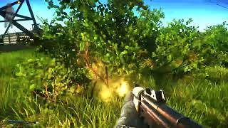 When bush start shooting