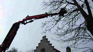 Tree Cutting in Sweden | Bohmer's Tree Care