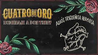 Adiós Trigueñita Hermosa - Cuatro De Oro (Homenaje A Don Triny)