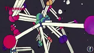 Kiss Lime Light  | Timmus Interview 9-11-2024 | Part 1