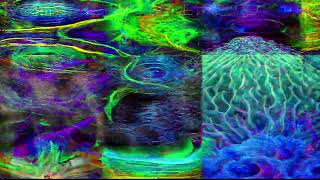 Quantum Fractal Multiverse Ai Cymatics - Heavens Rain (Raleigh Ecstatic Dance)