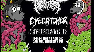 Neckbreather live at Cafe 611 11/09/24 Frederick Md
