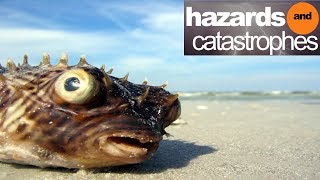 Return of the Bible Plagues Part 1: Deadly Waters | Full Documentary