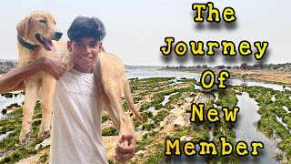 Naye Member Ki Entry….😍🐕 New Member In The House….✌️ #surcreator #newmember #vlog #vlogging