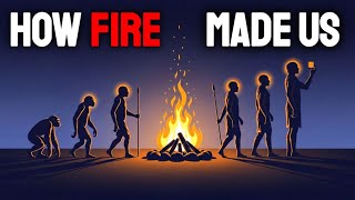 Why Humans Started Cooking: The Fire That Made Us “Modern” | History for Sleep
